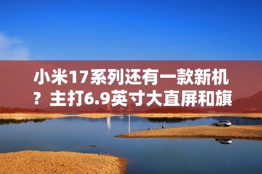 小米17系列还有一款新机？主打6.9英寸大直屏和旗舰级影像