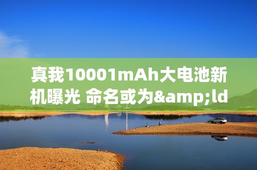 真我10001mAh大电池新机曝光 命名或为&ldquo;真我Power&rdquo;