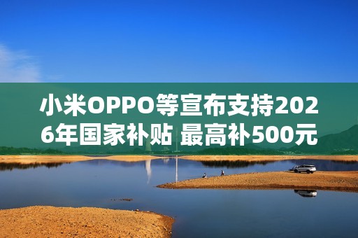 小米OPPO等宣布支持2026年国家补贴 最高补500元！