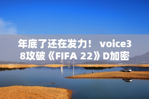 年底了还在发力！ voice38攻破《FIFA 22》D加密