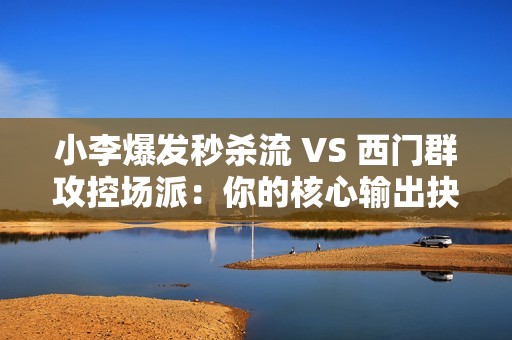 小李爆发秒杀流 VS 西门群攻控场派：你的核心输出抉择