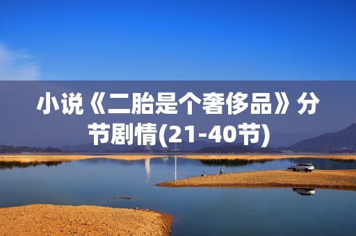 小说《二胎是个奢侈品》分节剧情(21-40节)