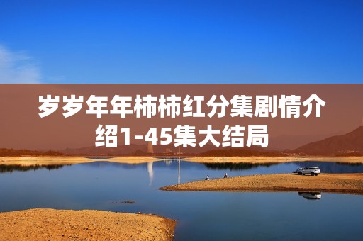 岁岁年年柿柿红分集剧情介绍1-45集大结局