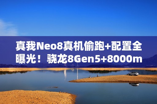 真我Neo8真机偷跑+配置全曝光！骁龙8Gen5+8000mAh