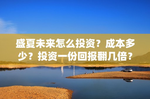 盛夏未来怎么投资？成本多少？投资一份回报翻几倍？(盛夏未来哪个平台)