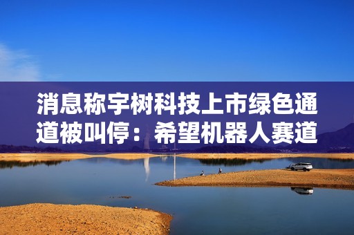 消息称宇树科技上市绿色通道被叫停：希望机器人赛道降降温，泡沫太大了