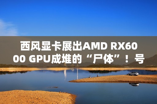 西风显卡展出AMD RX6000 GPU成堆的“尸体”！号称从不拒保