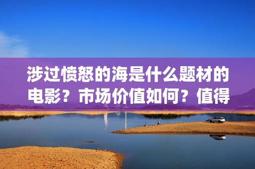 涉过愤怒的海是什么题材的电影？市场价值如何？值得个人投资吗？(涉过愤怒的海是哪年拍的)