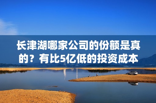 长津湖哪家公司的份额是真的？有比5亿低的投资成本吗？(长津湖有几家出品公司)