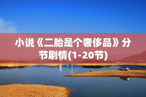 小说《二胎是个奢侈品》分节剧情(1-20节)