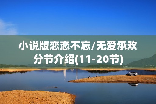 小说版恋恋不忘/无爱承欢分节介绍(11-20节)