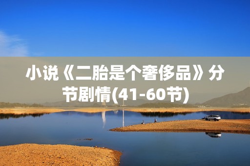 小说《二胎是个奢侈品》分节剧情(41-60节)