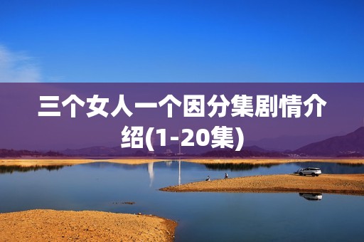 三个女人一个因分集剧情介绍(1-20集)