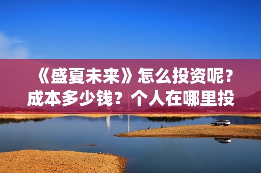 《盛夏未来》怎么投资呢？成本多少钱？个人在哪里投？门槛多少？(《盛夏未来》怎么写作文)