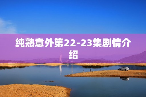 纯熟意外第22-23集剧情介绍