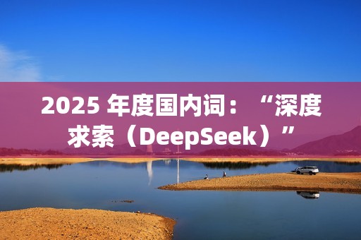 2025 年度国内词：“深度求索（DeepSeek）”