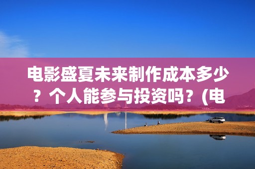 电影盛夏未来制作成本多少？个人能参与投资吗？(电影《盛夏未来》)