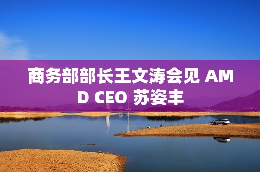 商务部部长王文涛会见 AMD CEO 苏姿丰 商务部部长王文涛会见 AMD CEO 苏姿丰