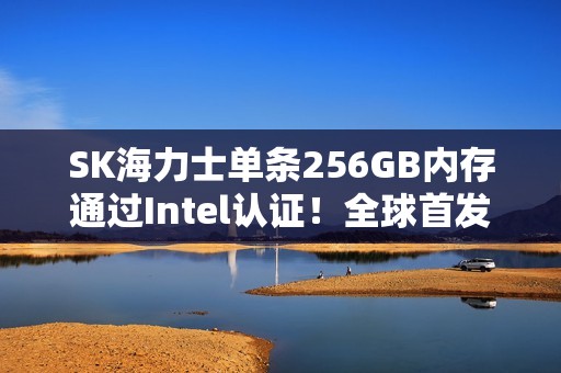 SK海力士单条256GB内存通过Intel认证！全球首发1b工艺32Gb颗粒