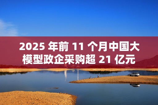 2025 年前 11 个月中国大模型政企采购超 21 亿元