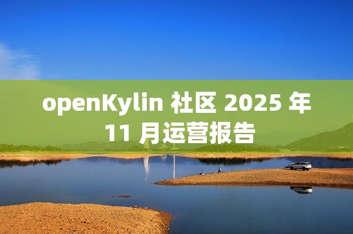 openKylin 社区 2025 年 11 月运营报告