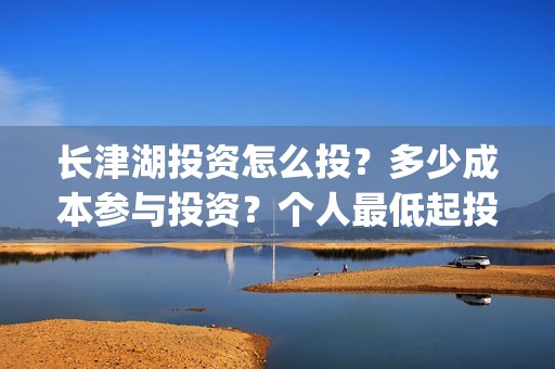 长津湖投资怎么投？多少成本参与投资？个人最低起投多少？(长津湖投资了几个亿)