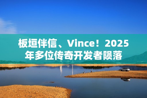 板垣伴信、Vince！2025年多位传奇开发者陨落