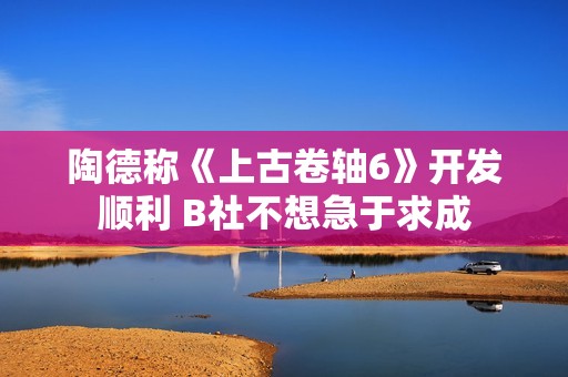 陶德称《上古卷轴6》开发顺利 B社不想急于求成