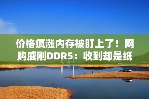 价格疯涨内存被盯上了！网购威刚DDR5：收到却是纸糊散热DDR2