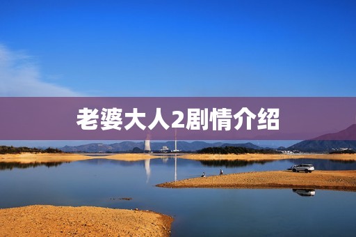 老婆大人2剧情介绍