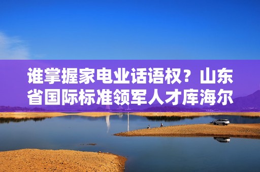 谁掌握家电业话语权？山东省国际标准领军人才库海尔占一半