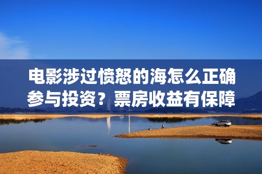 电影涉过愤怒的海怎么正确参与投资？票房收益有保障吗？成本多少？(电影涉过愤怒的海故事原型)