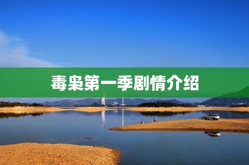 毒枭第一季剧情介绍