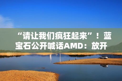 “请让我们疯狂起来”！蓝宝石公开喊话AMD：放开显卡限制