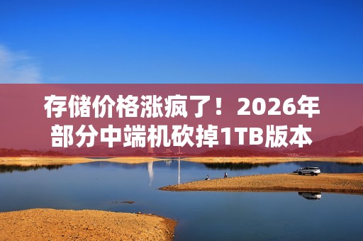 存储价格涨疯了！2026年部分中端机砍掉1TB版本
