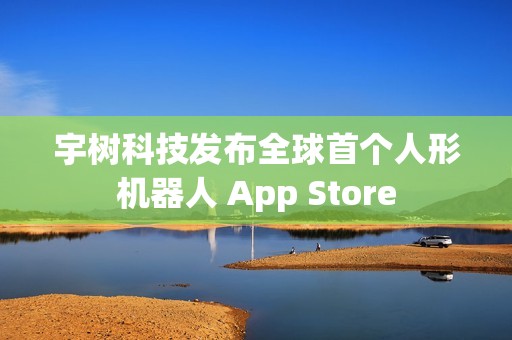 宇树科技发布全球首个人形机器人 App Store