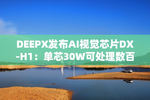 DEEPX发布AI视觉芯片DX-H1：单芯30W可处理数百路视频流