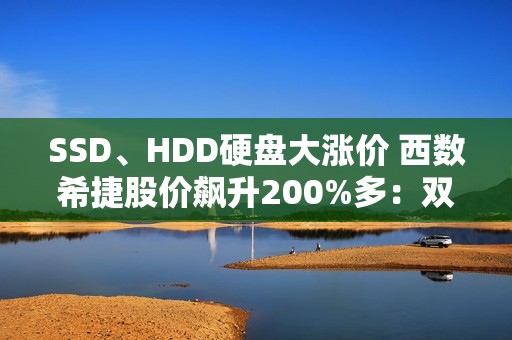 SSD、HDD硬盘大涨价 西数希捷股价飙升200%多：双双进入纳指100