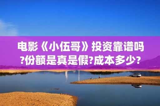 电影《小伍哥》投资靠谱吗?份额是真是假?成本多少?(电影 小伍哥)