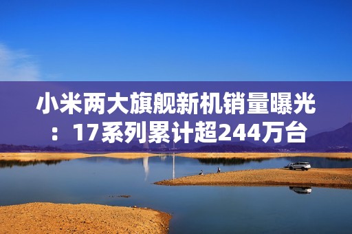 小米两大旗舰新机销量曝光：17系列累计超244万台