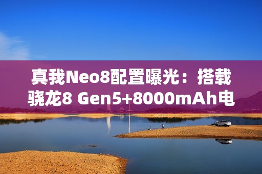 真我Neo8配置曝光：搭载骁龙8 Gen5+8000mAh电池