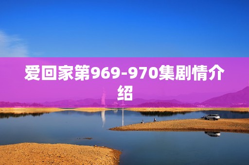 爱回家第969-970集剧情介绍