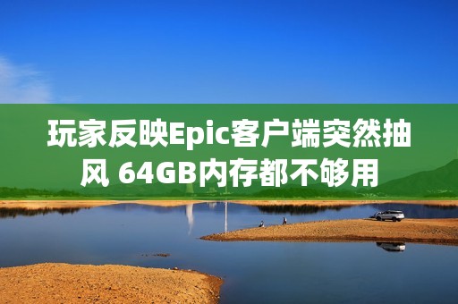 玩家反映Epic客户端突然抽风 64GB内存都不够用