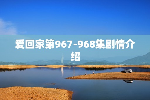 爱回家第967-968集剧情介绍