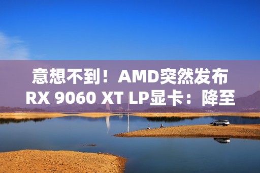 意想不到！AMD突然发布RX 9060 XT LP显卡：降至140W功耗