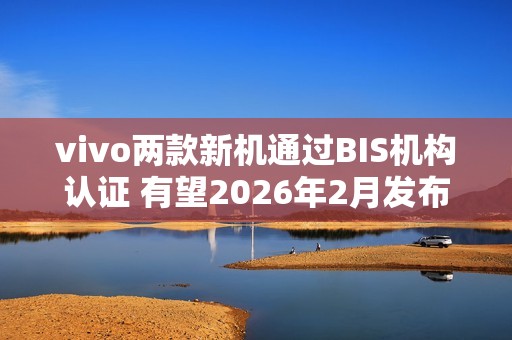 vivo两款新机通过BIS机构认证 有望2026年2月发布
