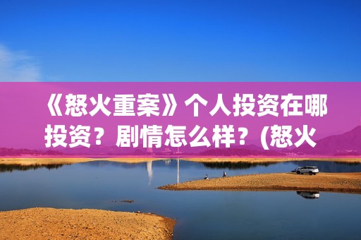 《怒火重案》个人投资在哪投资？剧情怎么样？(怒火重案太燃了)