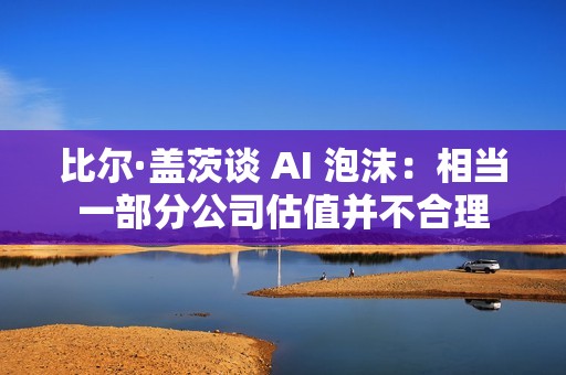 比尔·盖茨谈 AI 泡沫：相当一部分公司估值并不合理