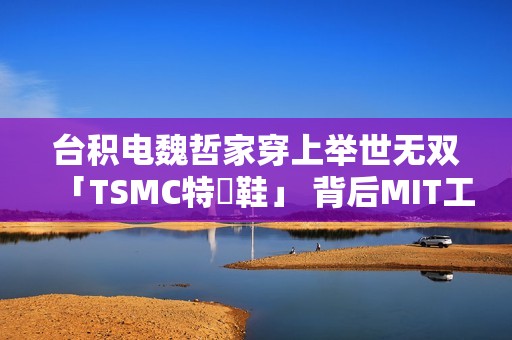 台积电魏哲家穿上举世无双「TSMC特製鞋」 背后MIT工艺祕辛首度曝光