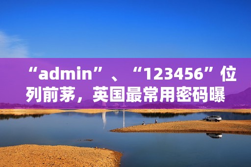 “admin”、“123456”位列前茅，英国最常用密码曝光